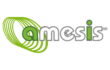 amesis.org.mx